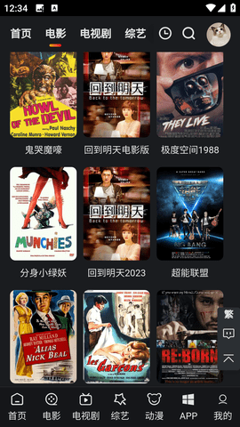 追影猫