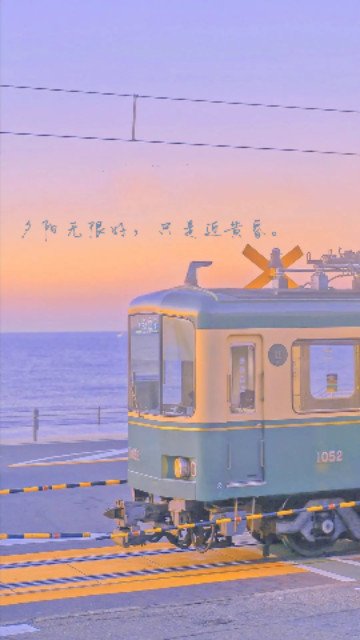 prom相机